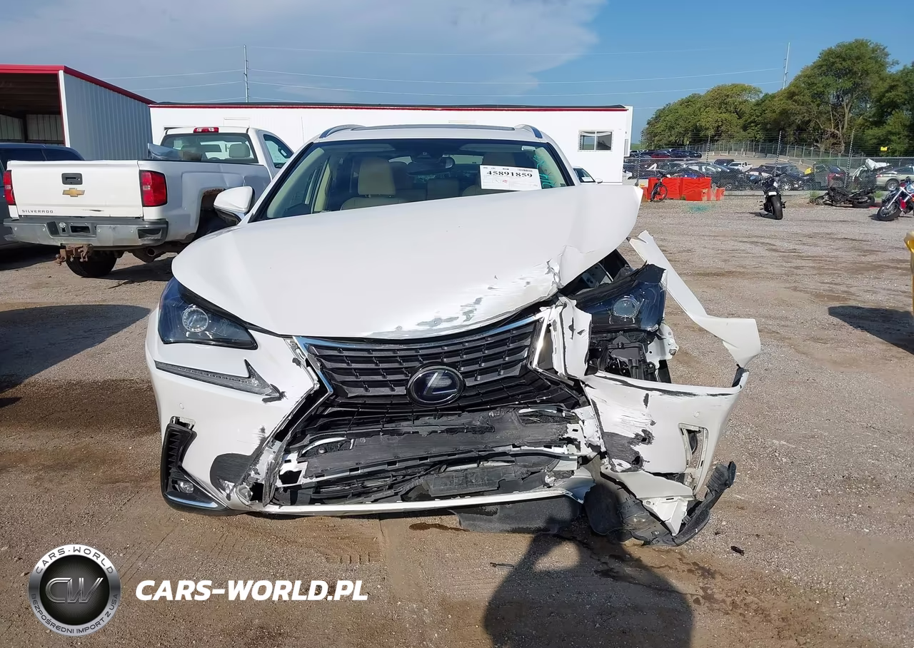 2020 Lexus Nx 300H VIN:JTJGJRDZXL5003887 - 13