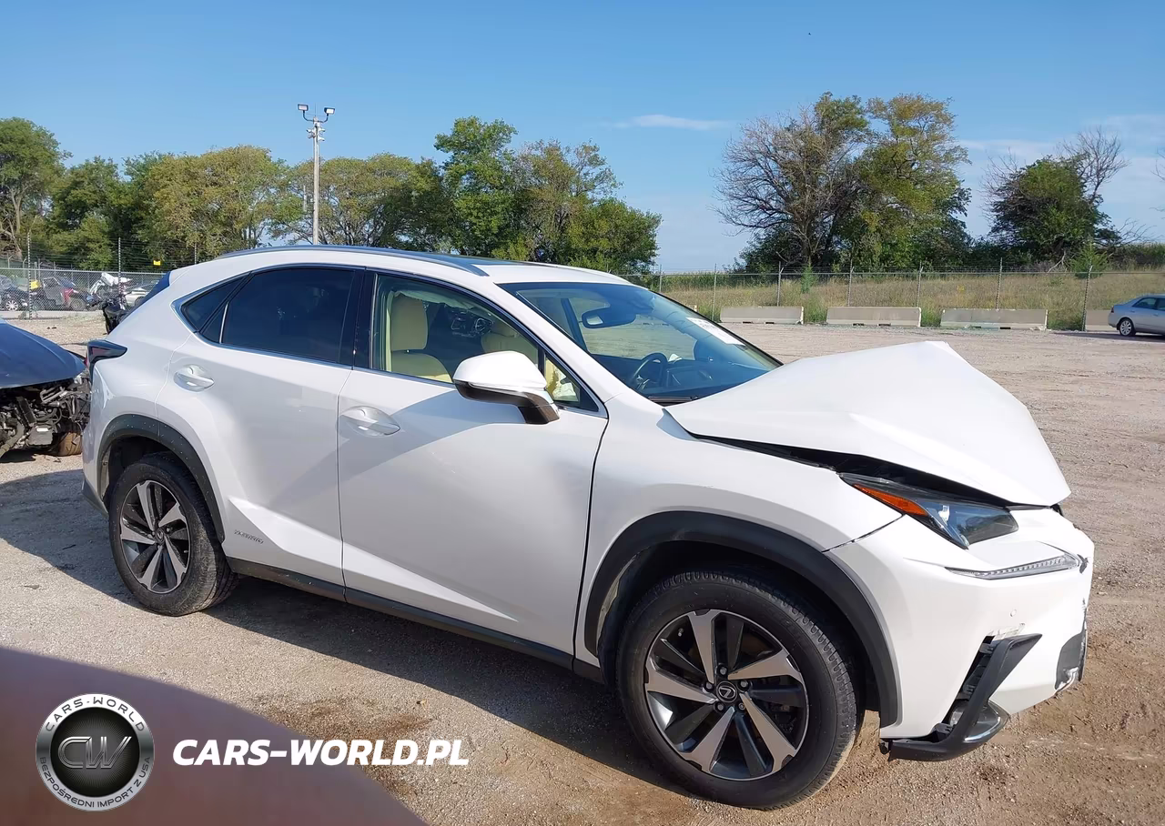 2020 Lexus Nx 300H VIN:JTJGJRDZXL5003887 - 14