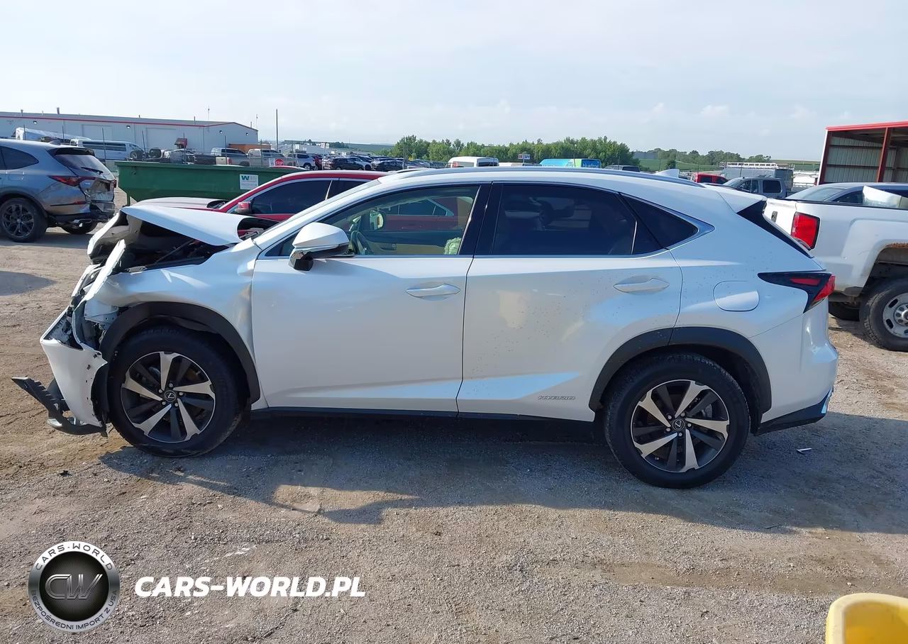 2020 Lexus Nx 300H VIN:JTJGJRDZXL5003887 - 15