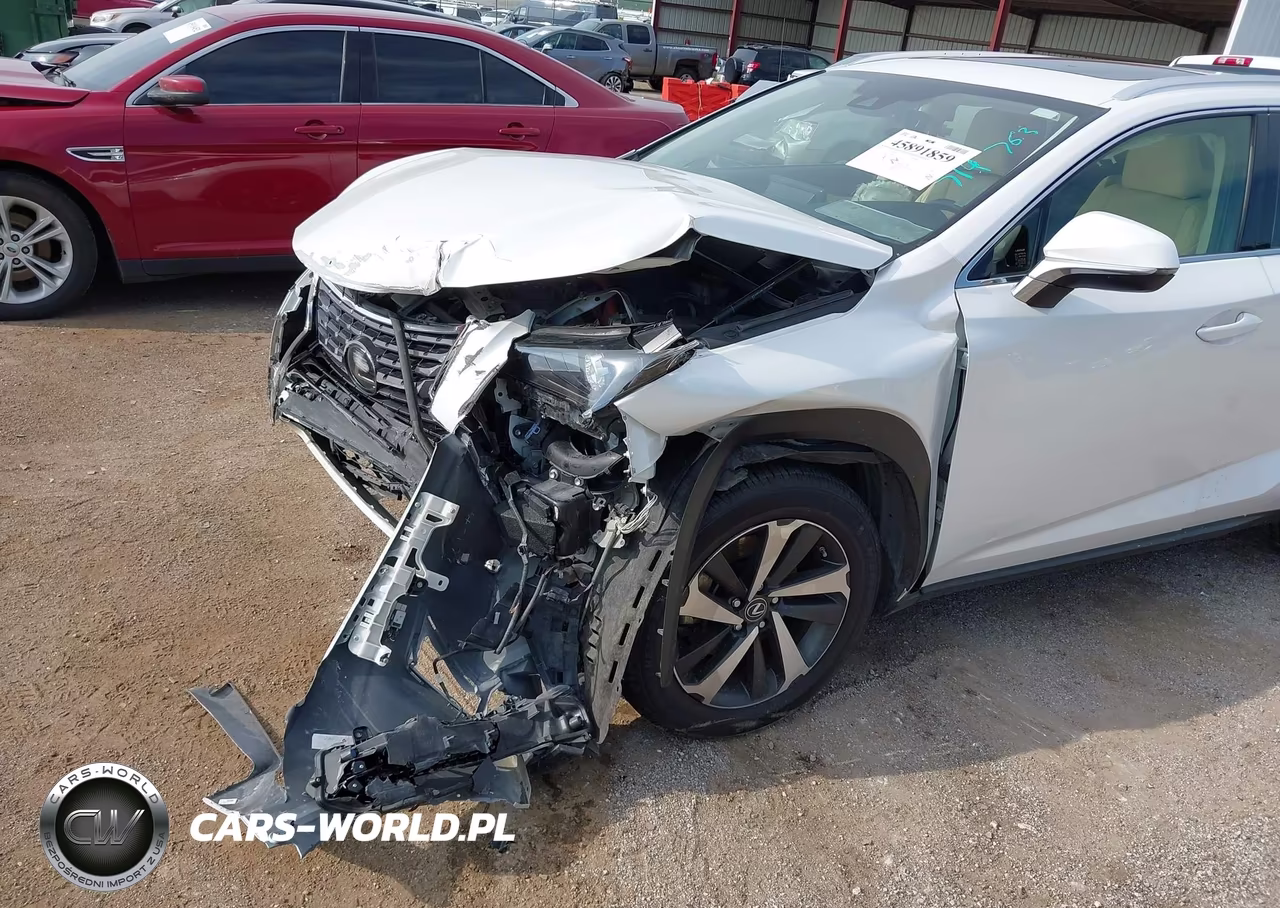 2020 Lexus Nx 300H VIN:JTJGJRDZXL5003887 - 18
