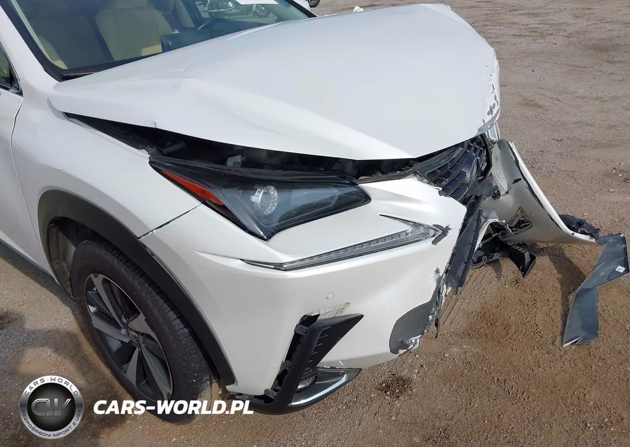 2020 Lexus Nx 300H VIN:JTJGJRDZXL5003887 - 19