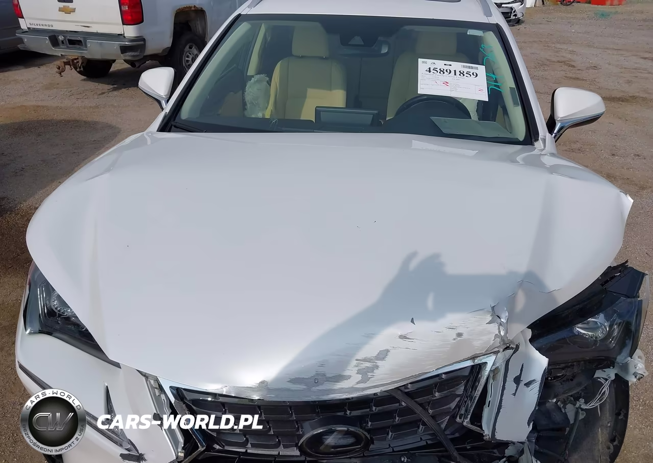 2020 Lexus Nx 300H VIN:JTJGJRDZXL5003887 - 20