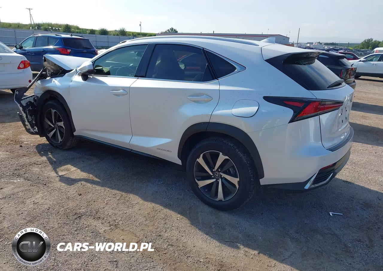 2020 Lexus Nx 300H VIN:JTJGJRDZXL5003887 - 3