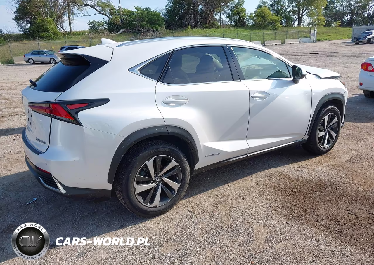 2020 Lexus Nx 300H VIN:JTJGJRDZXL5003887 - 4