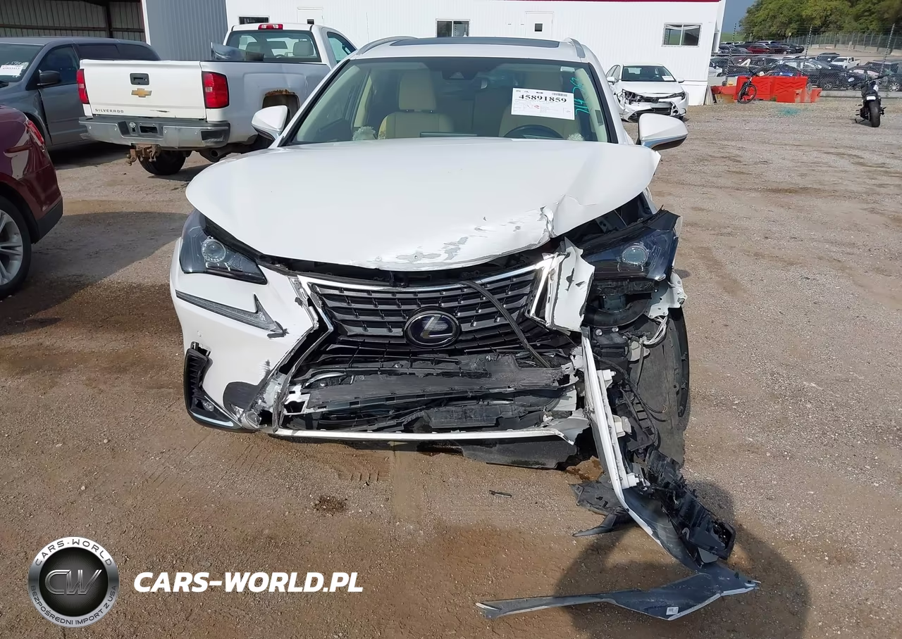 2020 Lexus Nx 300H VIN:JTJGJRDZXL5003887 - 6