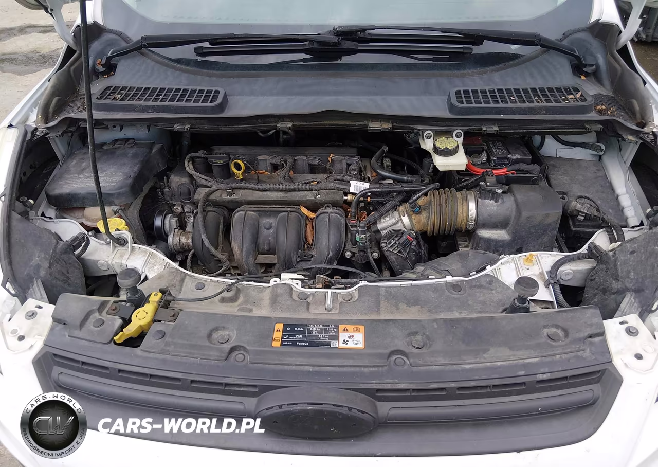 2014 Ford Escape S VIN:1FMCU0F78EUC76668 - 10