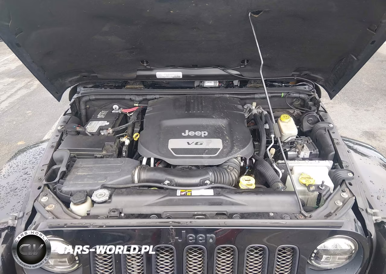 2016 Jeep Wrangler Unlimited Backcountry VIN:1C4HJWEG3GL243822 - 10