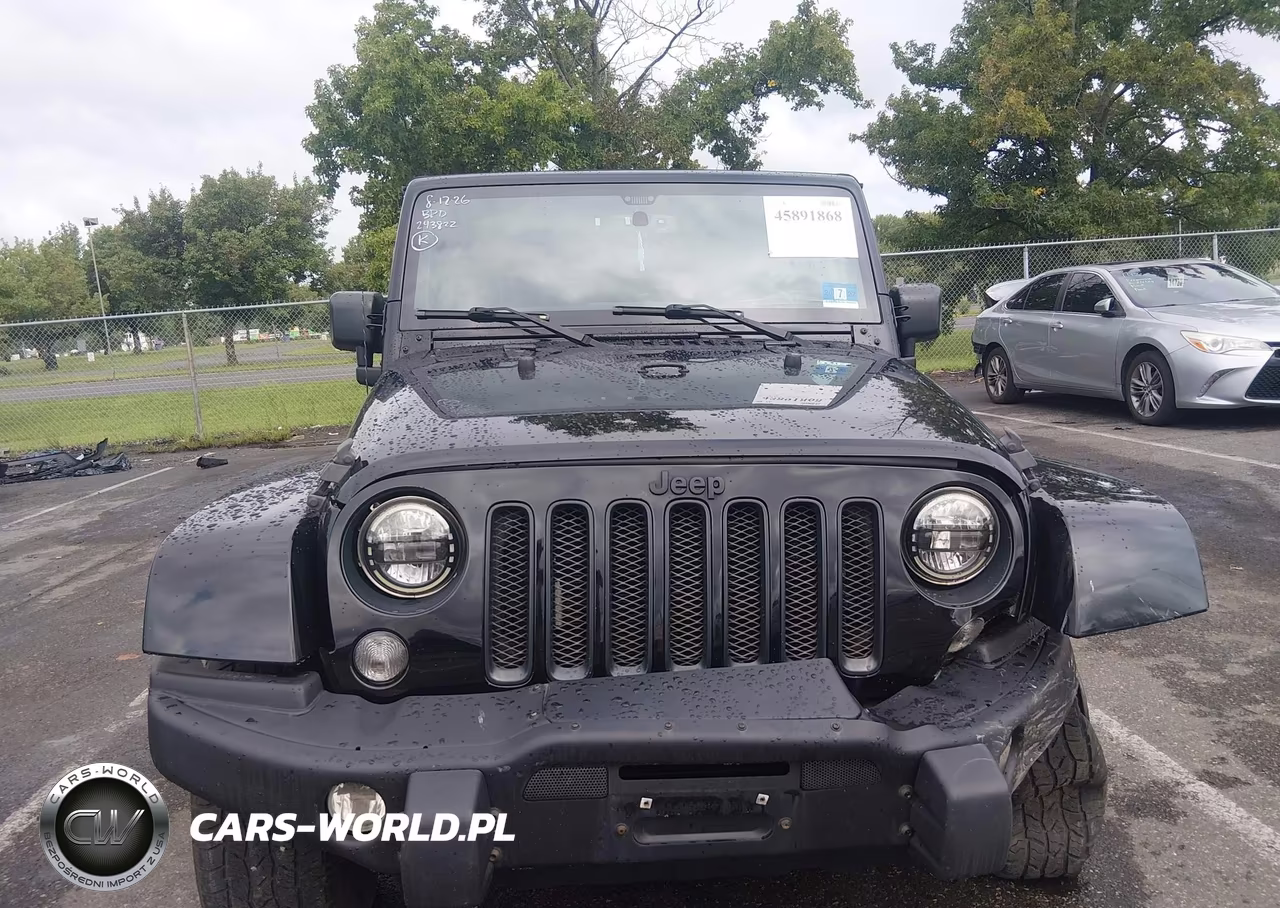 2016 Jeep Wrangler Unlimited Backcountry VIN:1C4HJWEG3GL243822 - 12