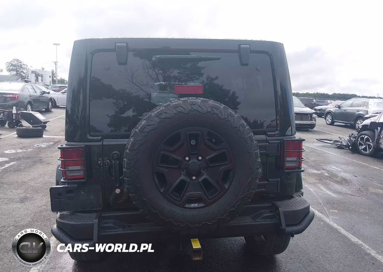 2016 Jeep Wrangler Unlimited Backcountry VIN:1C4HJWEG3GL243822 - 16