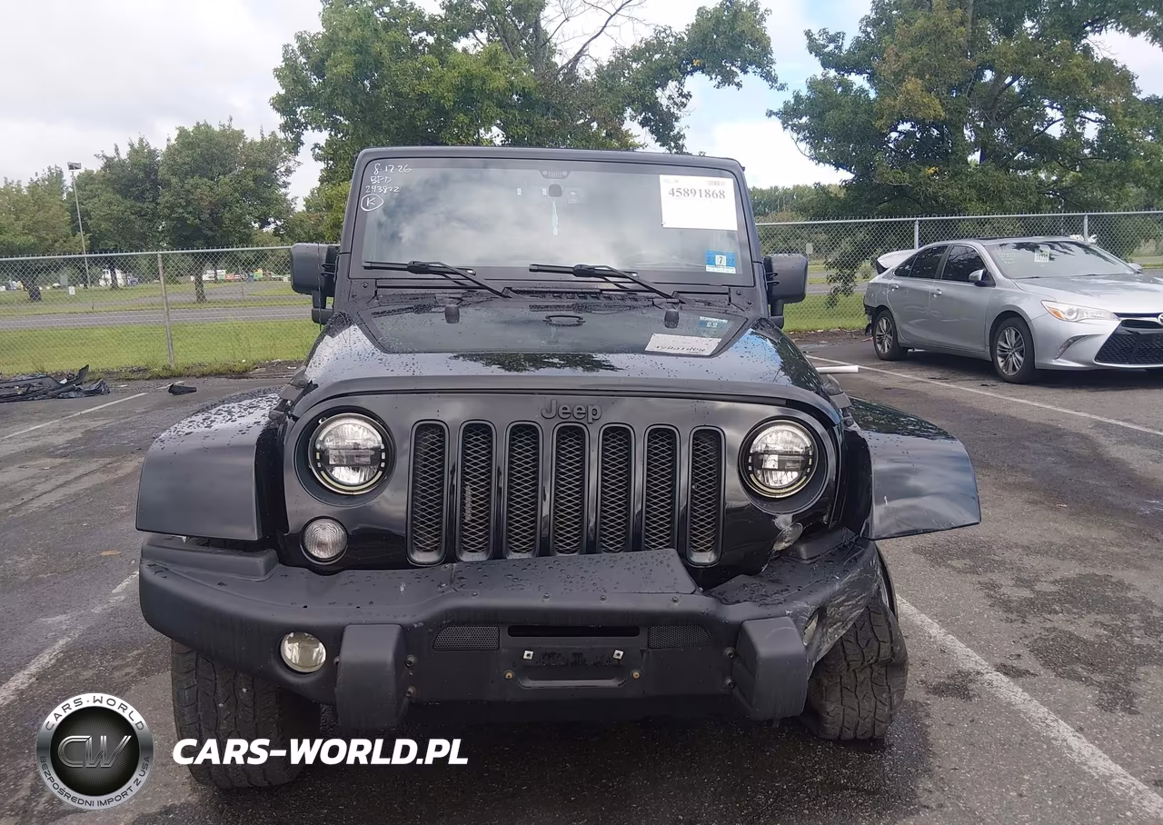 2016 Jeep Wrangler Unlimited Backcountry VIN:1C4HJWEG3GL243822 - 17