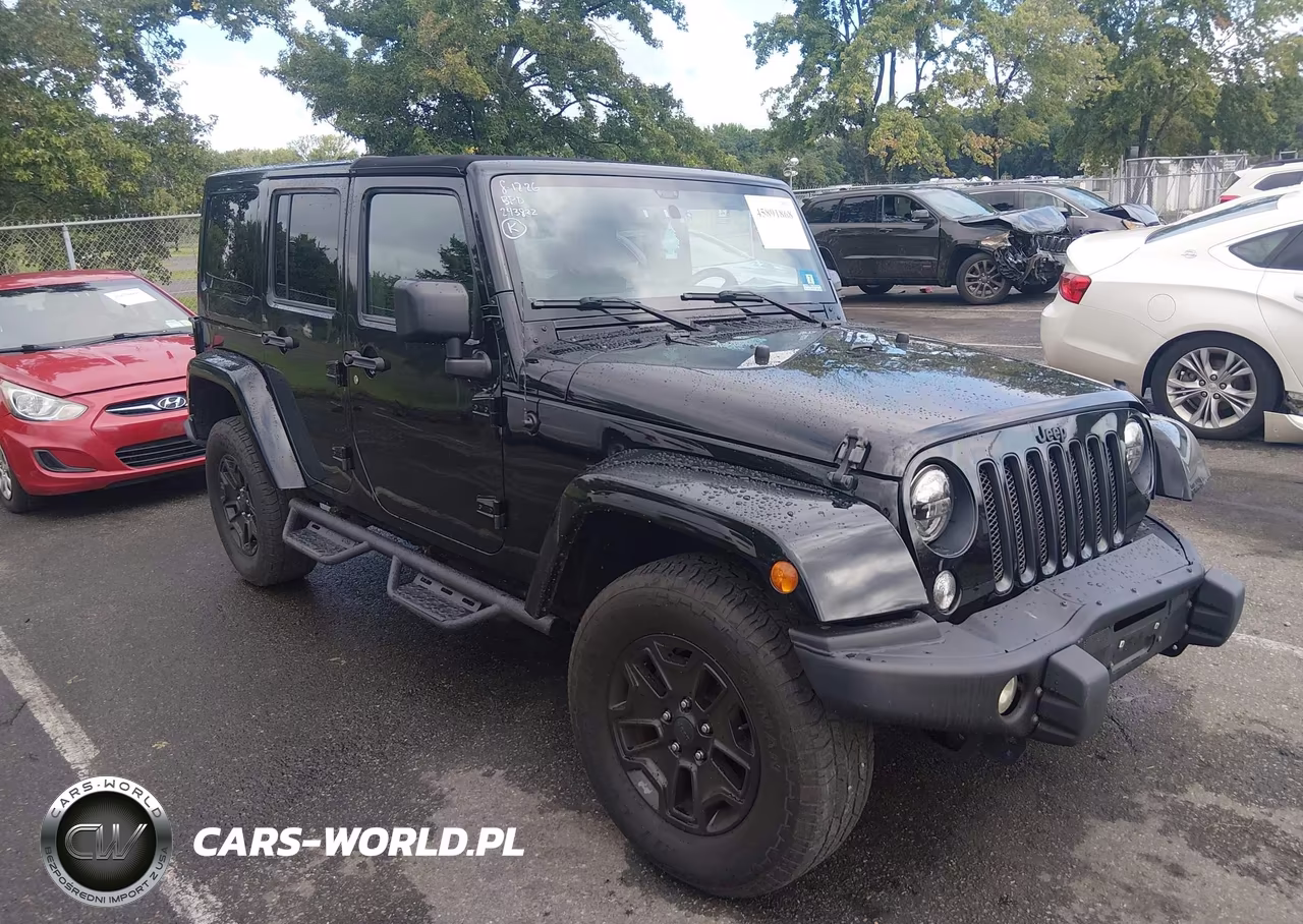 2016 Jeep Wrangler Unlimited Backcountry VIN:1C4HJWEG3GL243822 - 18