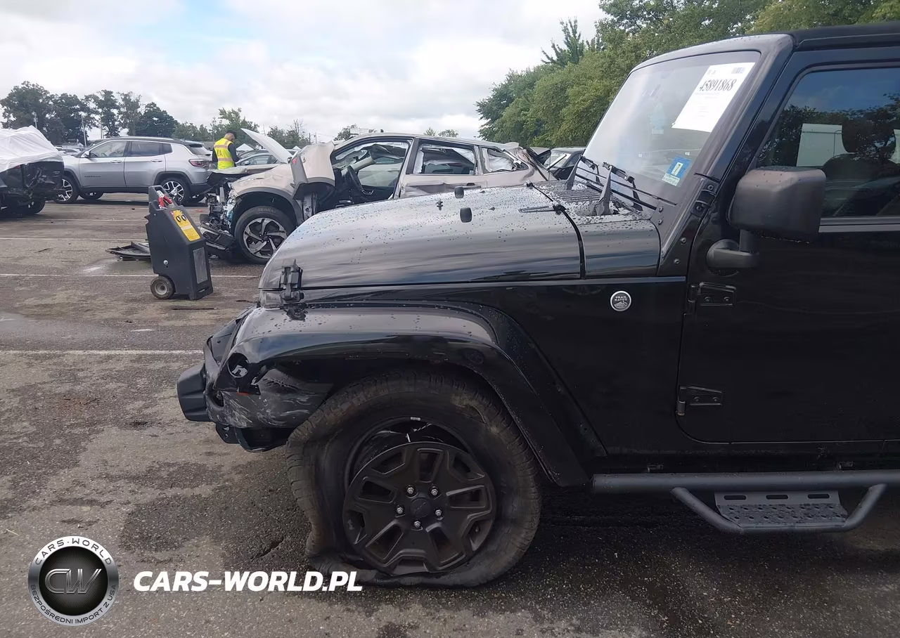 2016 Jeep Wrangler Unlimited Backcountry VIN:1C4HJWEG3GL243822 - 19