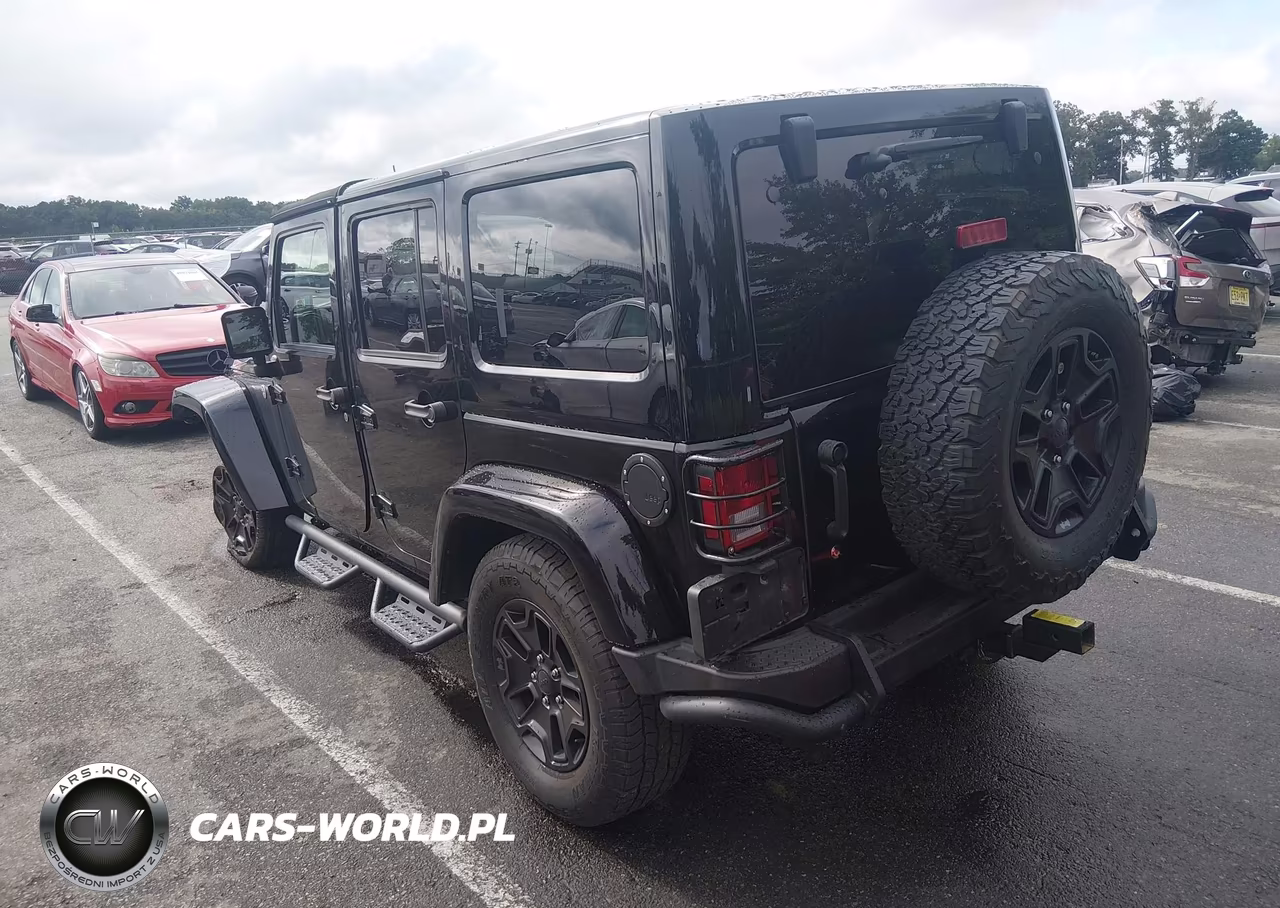 2016 Jeep Wrangler Unlimited Backcountry VIN:1C4HJWEG3GL243822 - 3