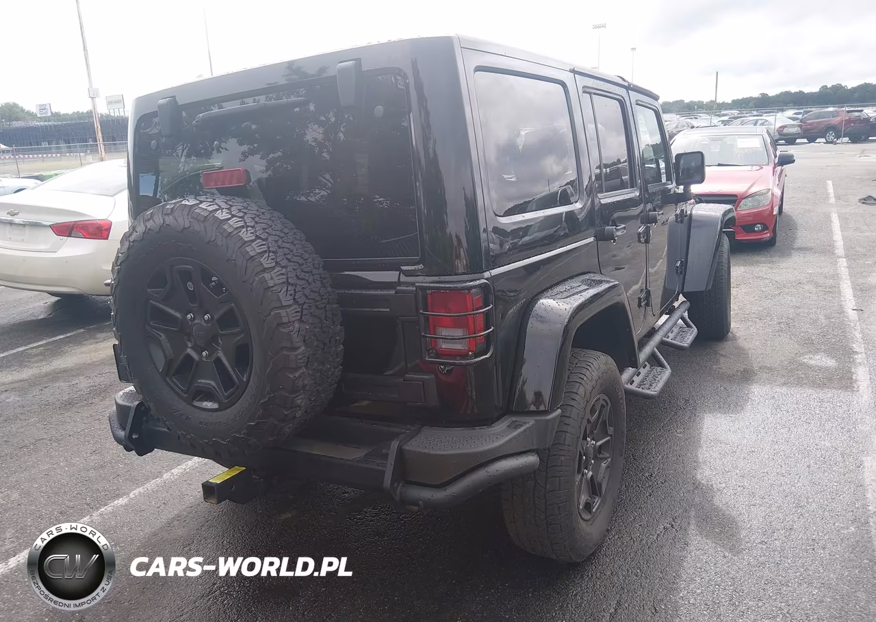 2016 Jeep Wrangler Unlimited Backcountry VIN:1C4HJWEG3GL243822 - 4