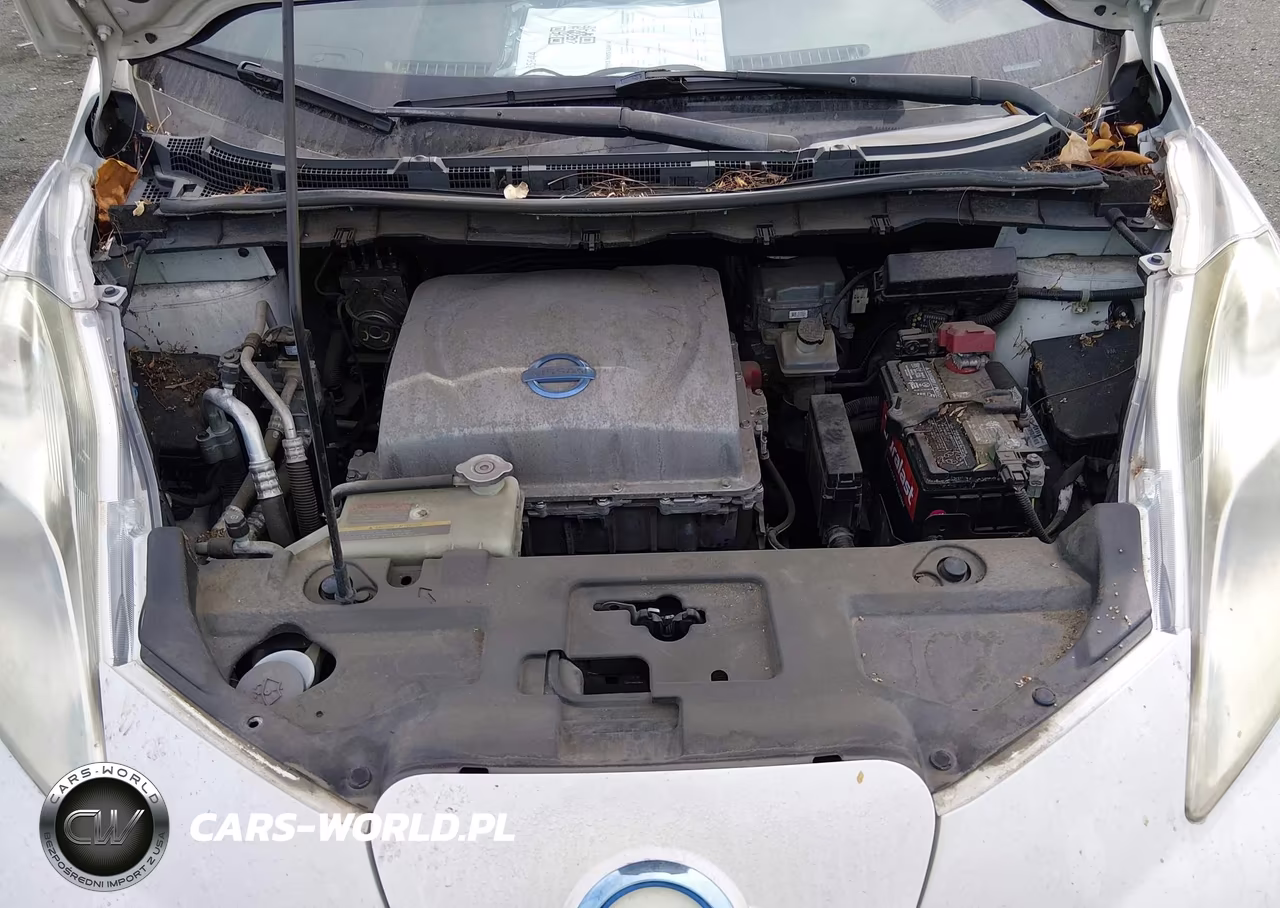 2013 Nissan Leaf Sv VIN:1N4AZ0CP0DC420158 - 10