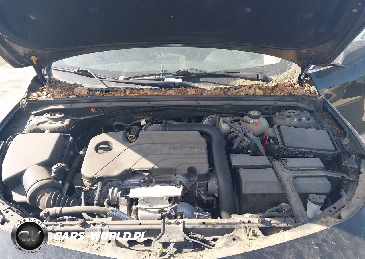 2019 Chevrolet Malibu 1Ls VIN:1G1ZB5ST3KF175986 - 10