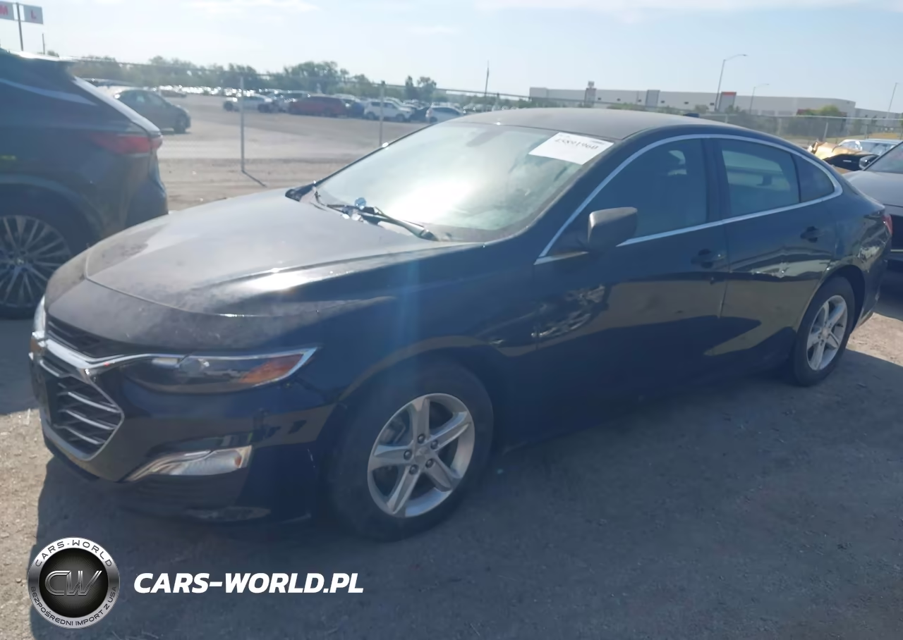 2019 Chevrolet Malibu 1Ls VIN:1G1ZB5ST3KF175986 - 2