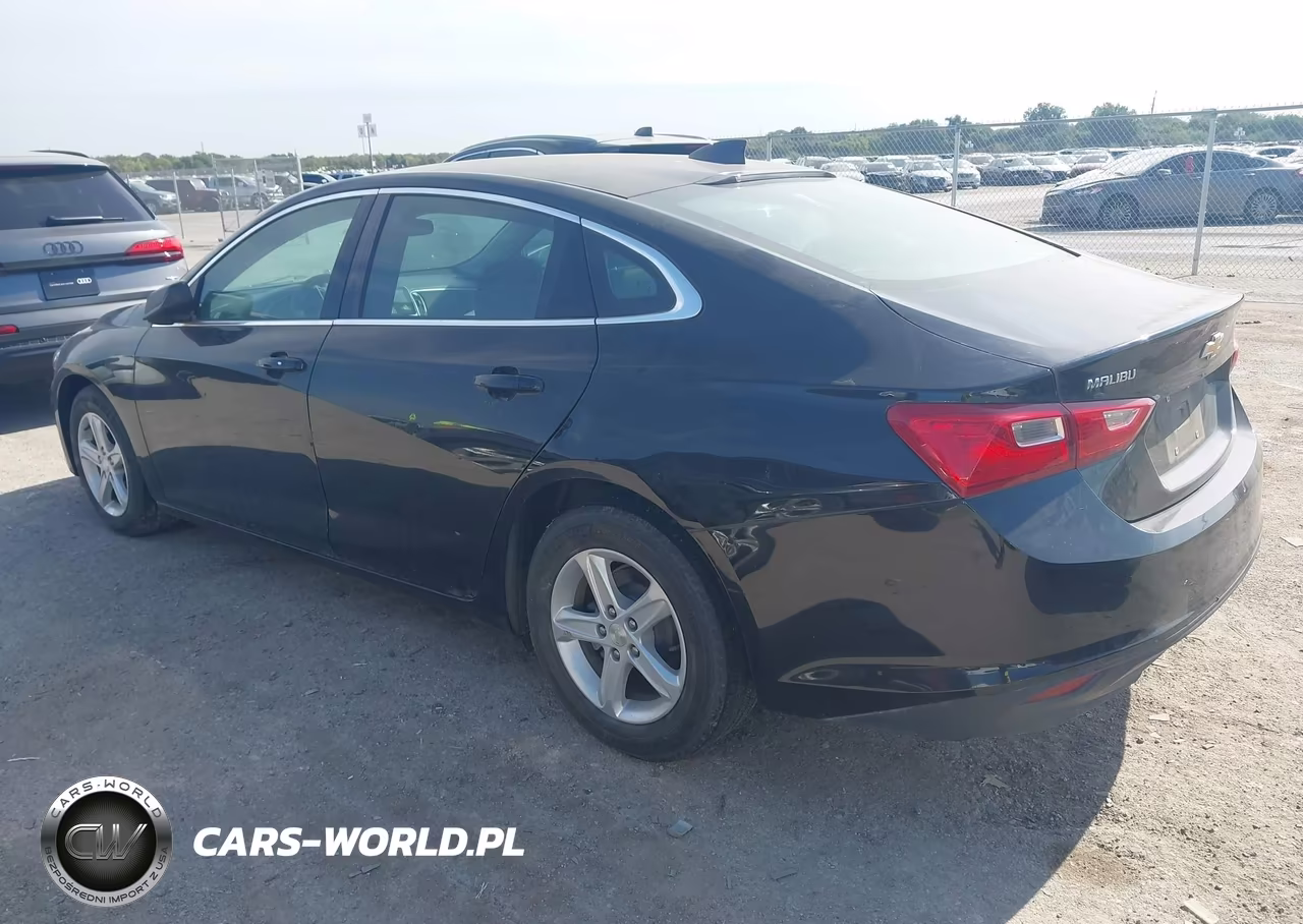 2019 Chevrolet Malibu 1Ls VIN:1G1ZB5ST3KF175986 - 3