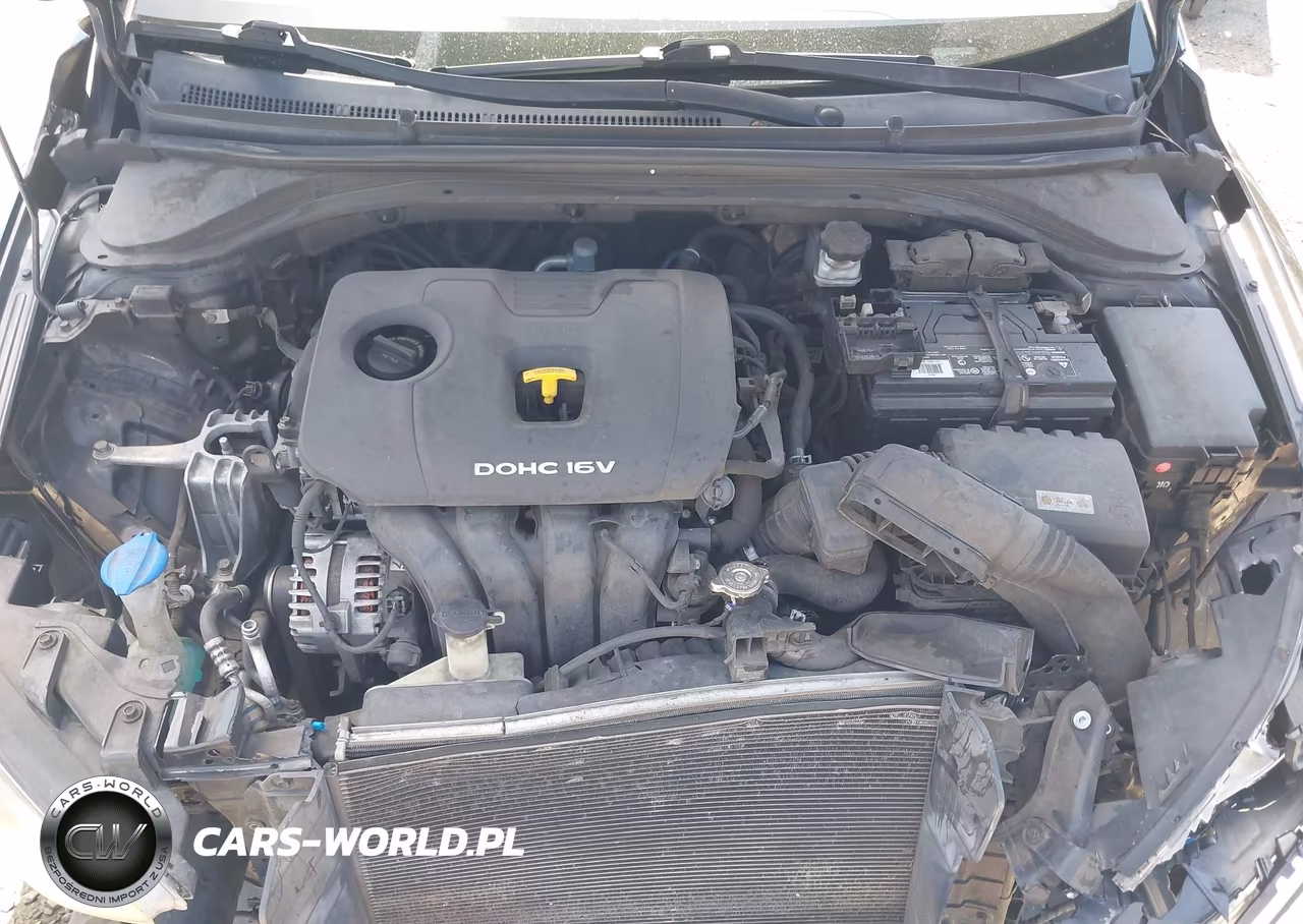2017 Hyundai Elantra Limited VIN:KMHD84LF6HU073956 - 10