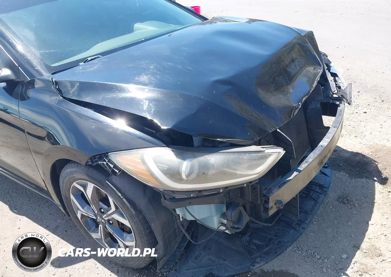 2017 Hyundai Elantra Limited VIN:KMHD84LF6HU073956 - 18