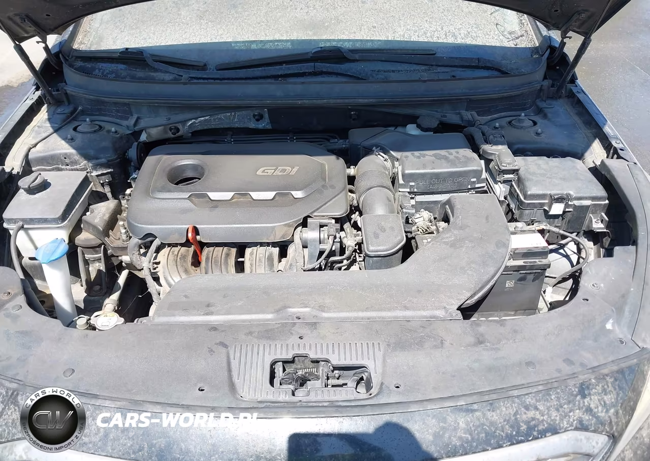 2016 Hyundai Sonata Sport VIN:5NPE34AF6GH403484 - 10