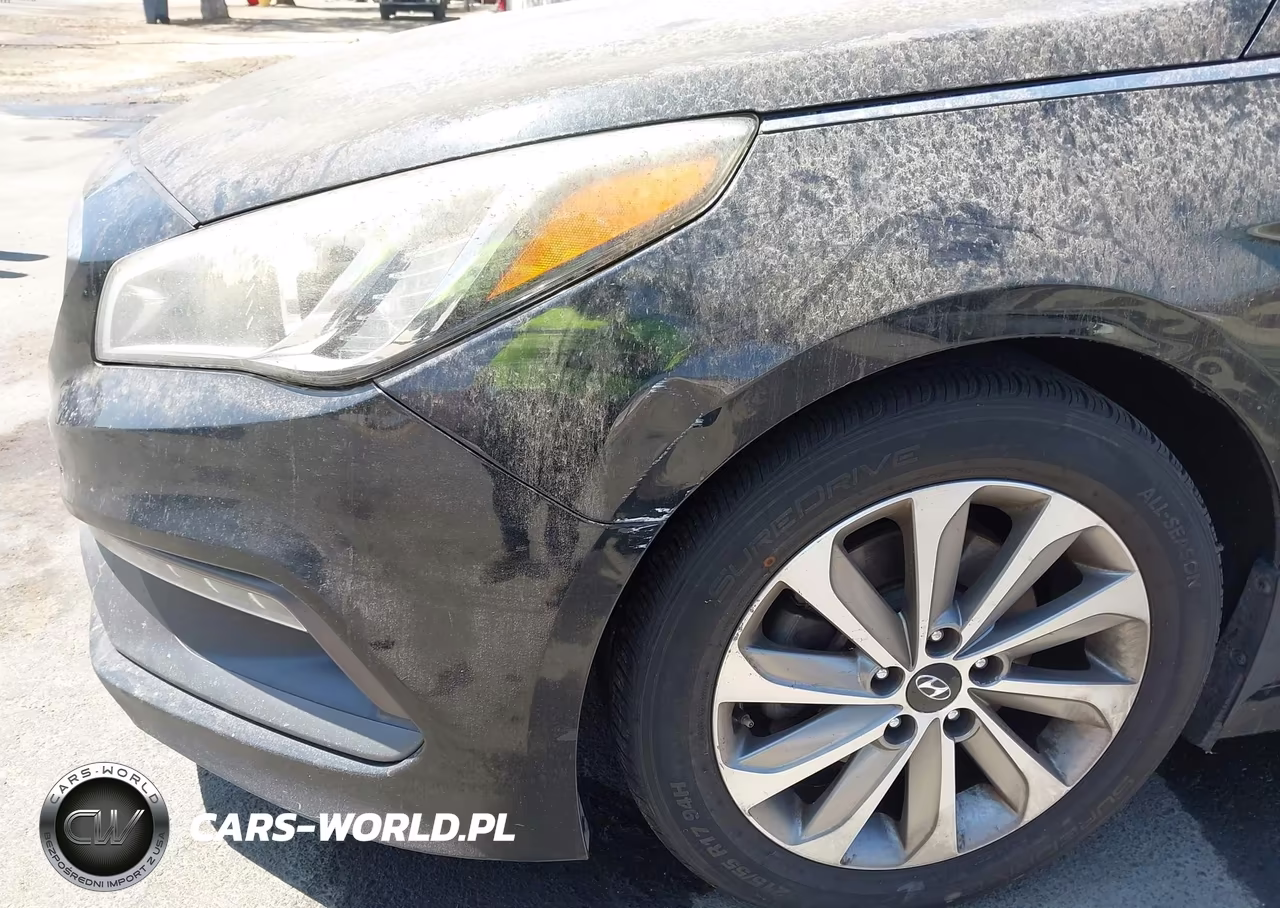 2016 Hyundai Sonata Sport VIN:5NPE34AF6GH403484 - 17