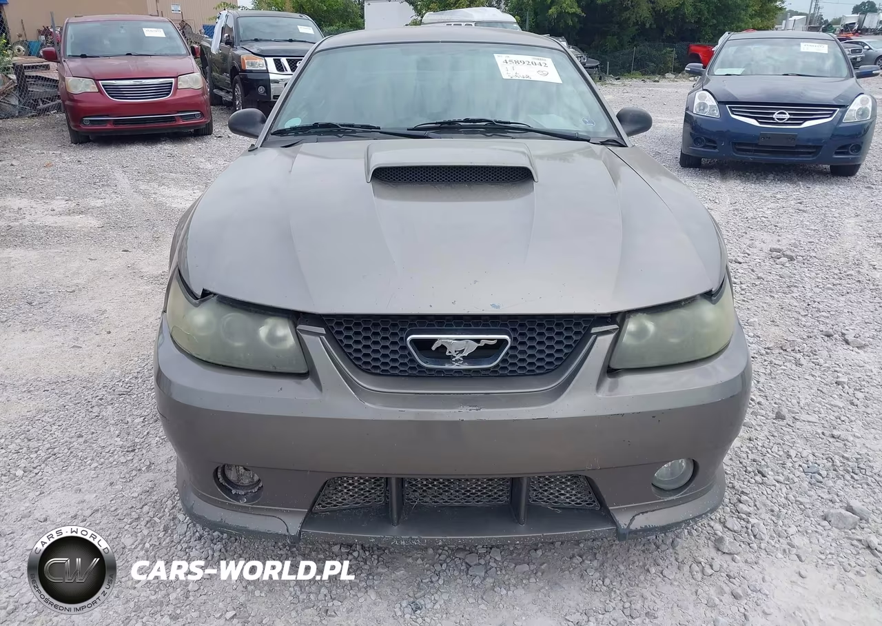 2002 Ford Mustang Gt Deluxe-Gt Premium VIN:1FAFP42X42F240441 - 14