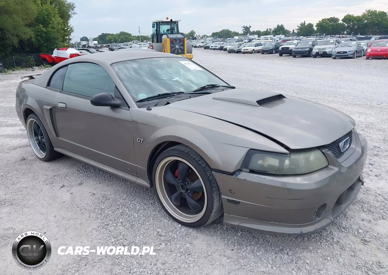 2002 Ford Mustang Gt Deluxe-Gt Premium VIN:1FAFP42X42F240441 - 15