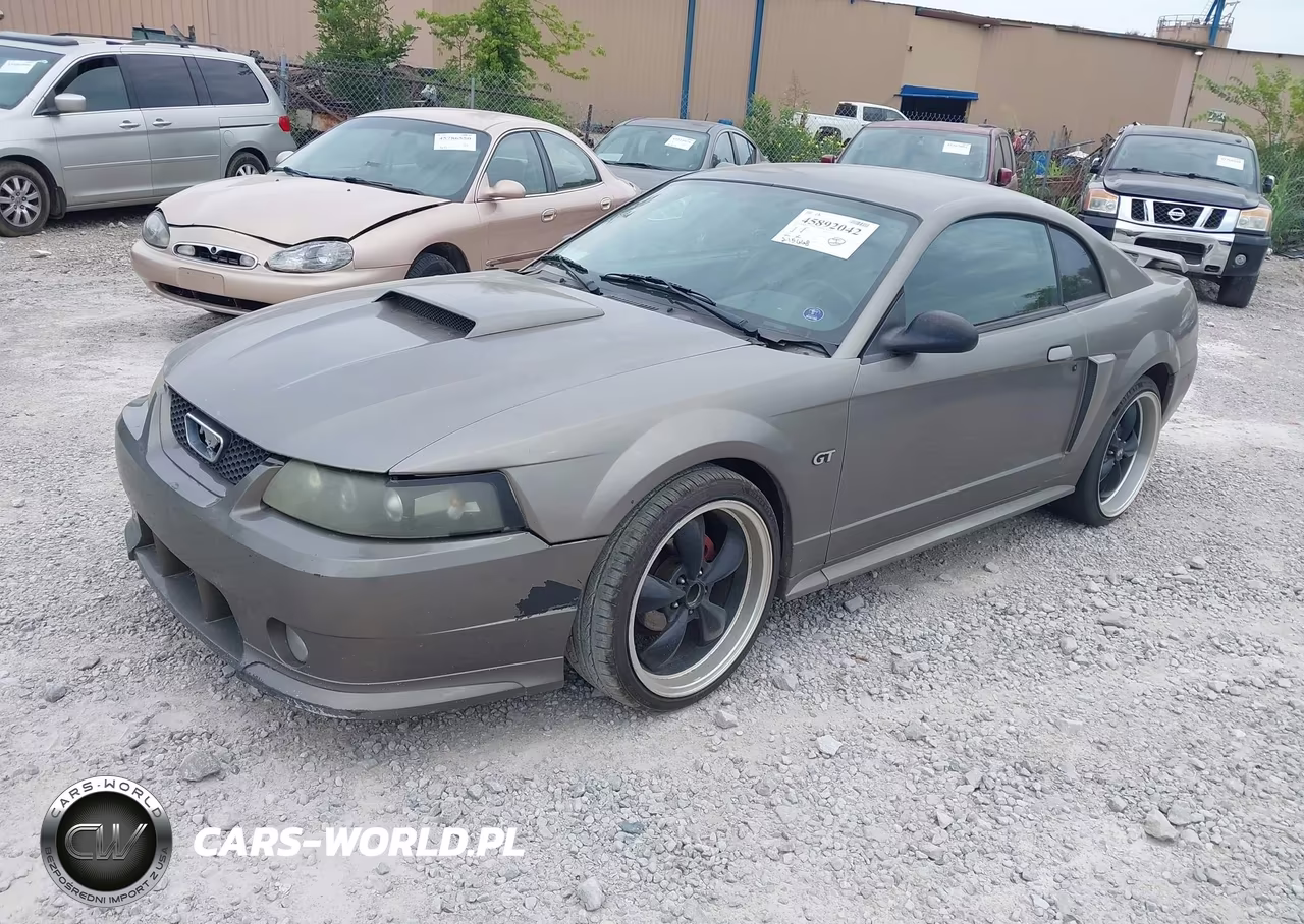 2002 Ford Mustang Gt Deluxe-Gt Premium VIN:1FAFP42X42F240441 - 2