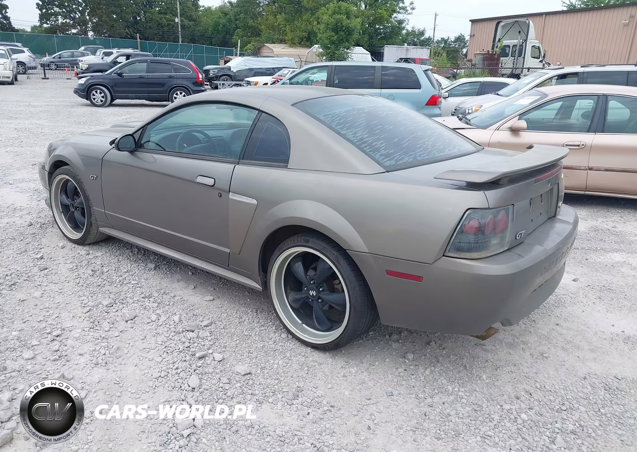 2002 Ford Mustang Gt Deluxe-Gt Premium VIN:1FAFP42X42F240441 - 3