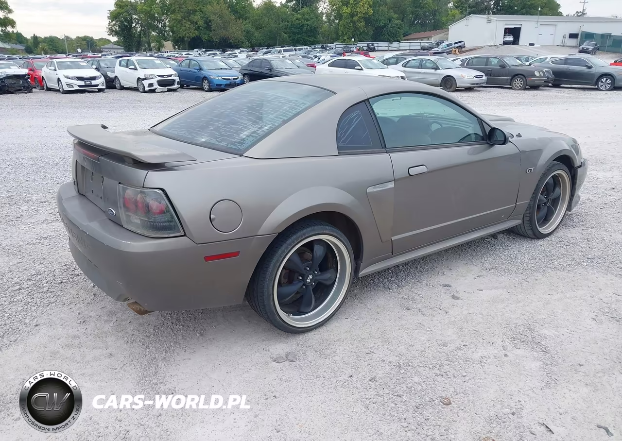 2002 Ford Mustang Gt Deluxe-Gt Premium VIN:1FAFP42X42F240441 - 4