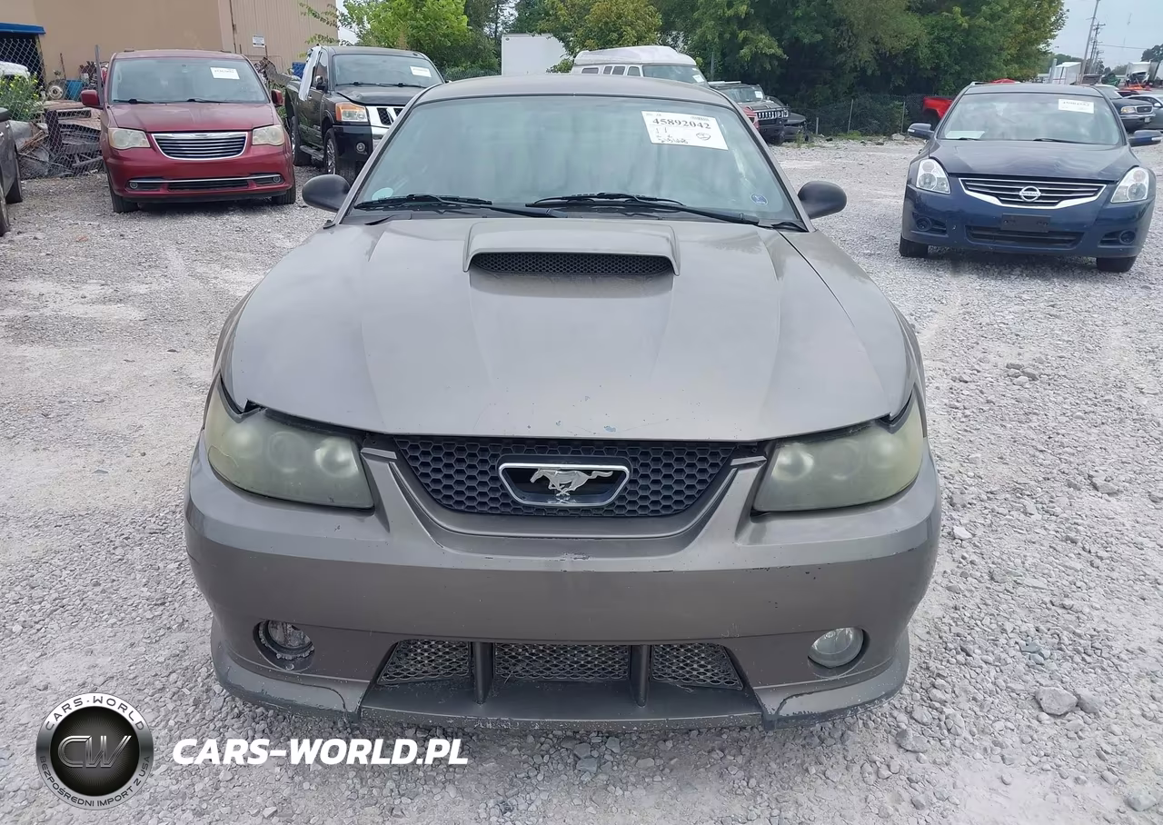 2002 Ford Mustang Gt Deluxe-Gt Premium VIN:1FAFP42X42F240441 - 6