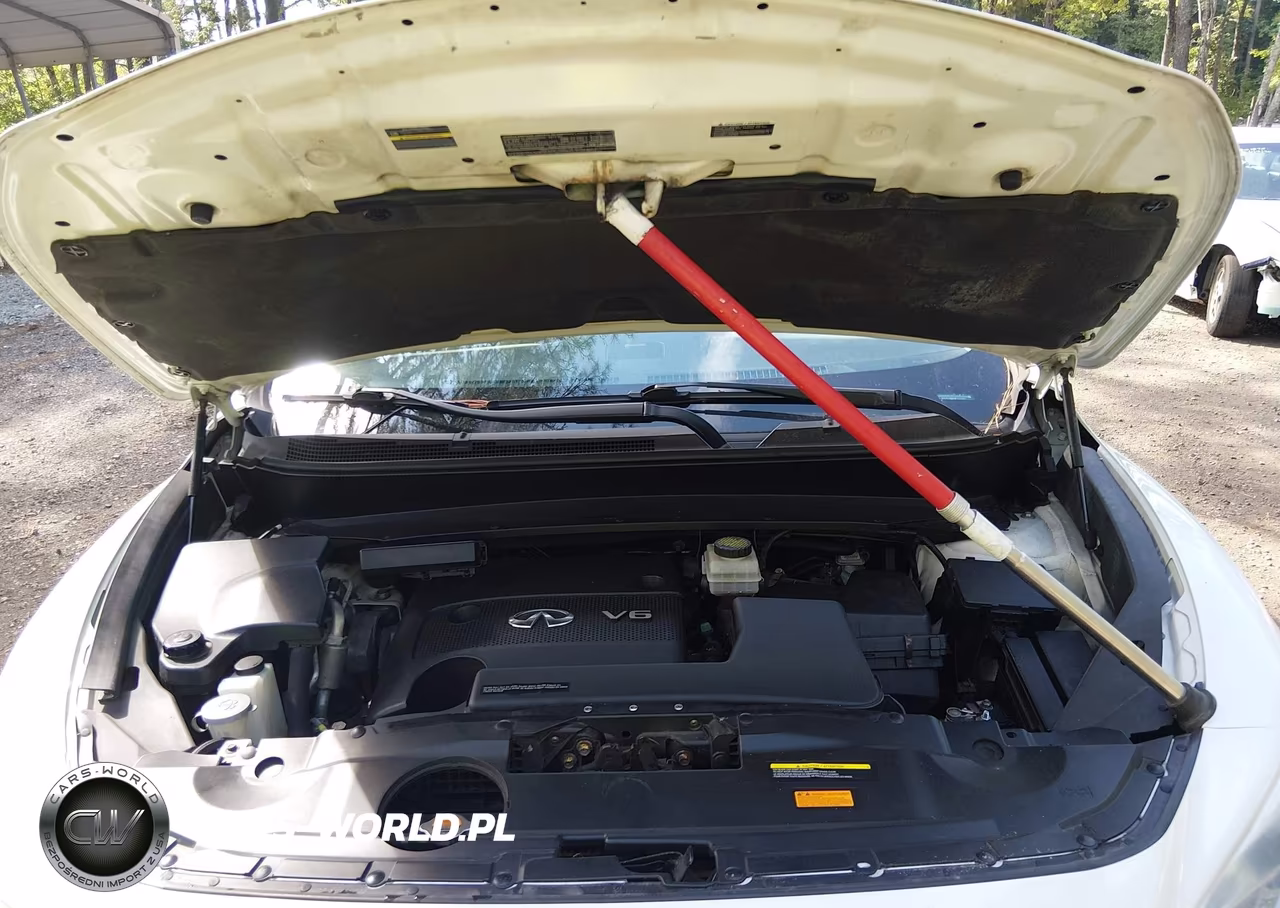 2015 Infiniti Qx60 VIN:5N1AL0MM0FC516371 - 10