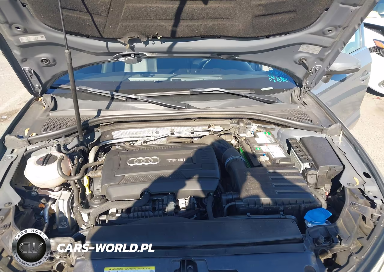 2017 Audi A3 Premium Plus VIN:WAUJ8GFF8H1045398 - 10