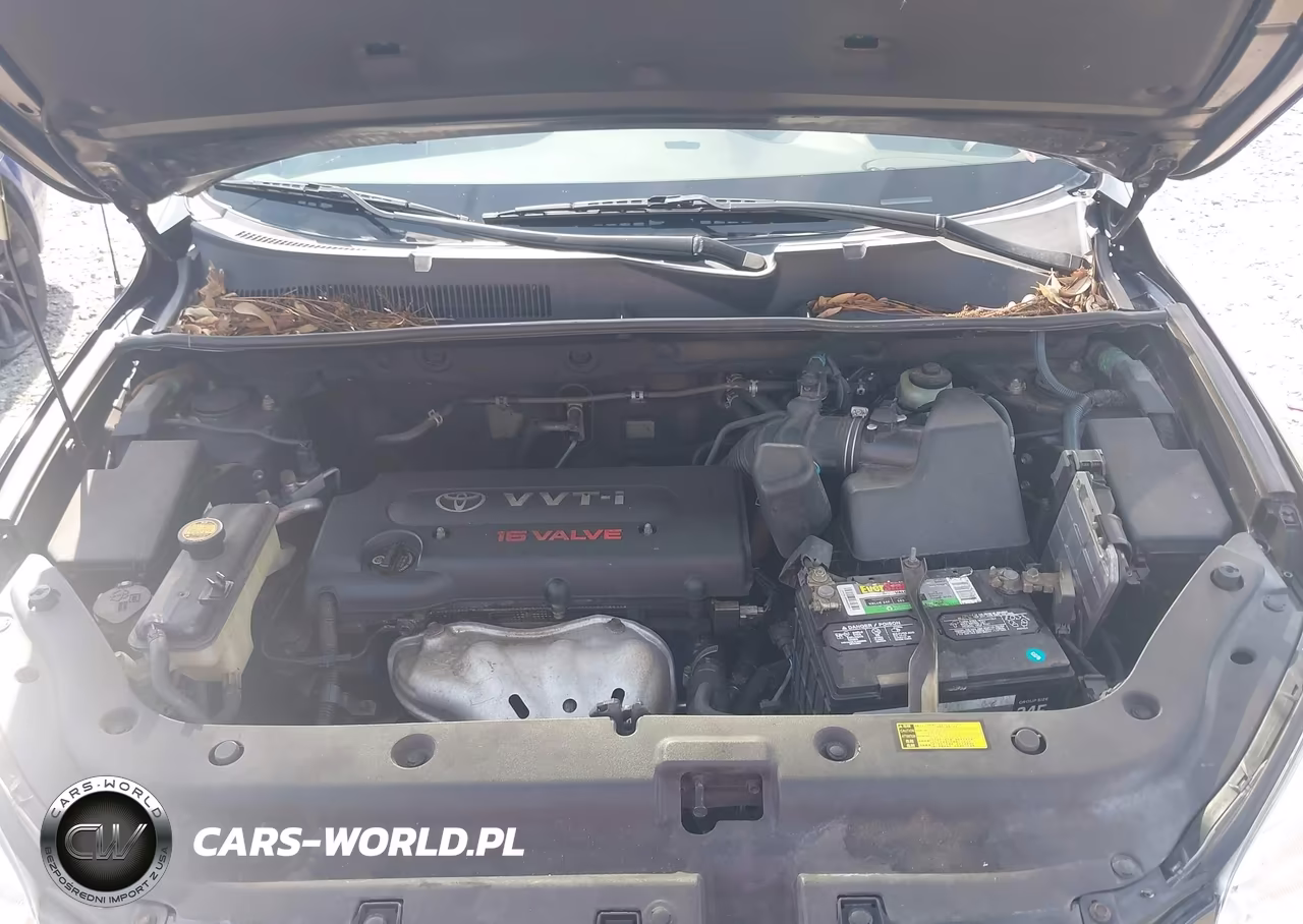 2008 Toyota Rav4 VIN:JTMBD33V386074527 - 10