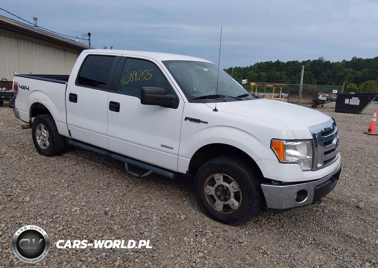 2011 Ford F-150 Xlt – zdjęcie 1 z 16