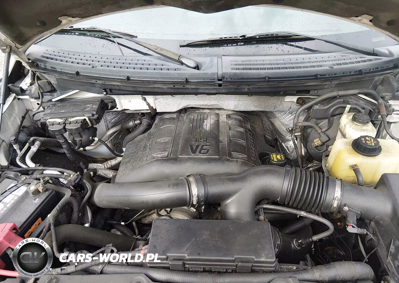 2011 Ford F-150 Xlt VIN:1FTFW1ET9BFB93024 - 10