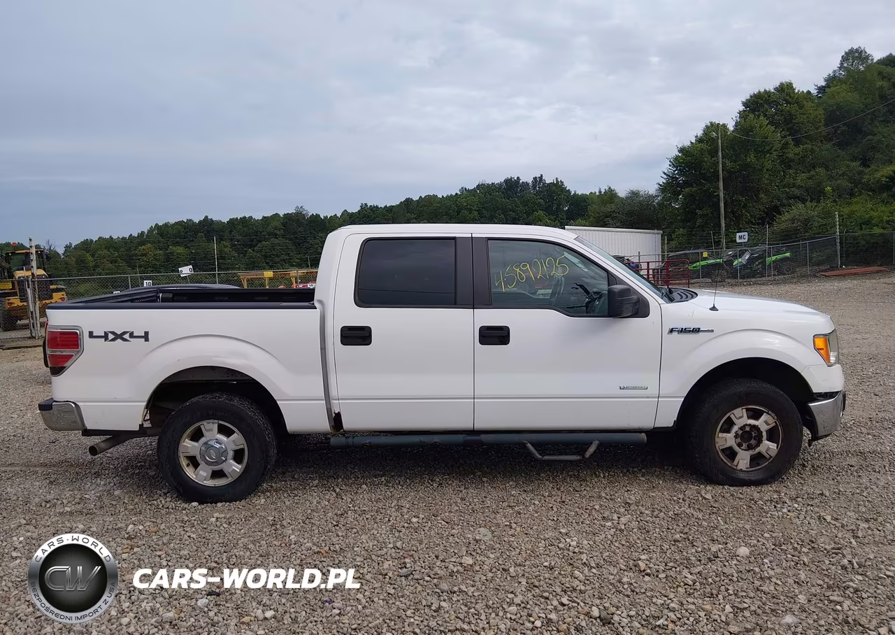 2011 Ford F-150 Xlt VIN:1FTFW1ET9BFB93024 - 13