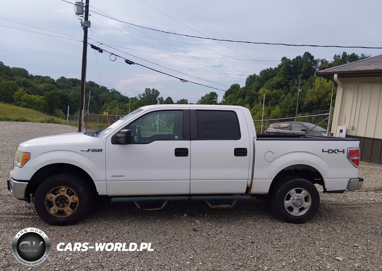 2011 Ford F-150 Xlt VIN:1FTFW1ET9BFB93024 - 14