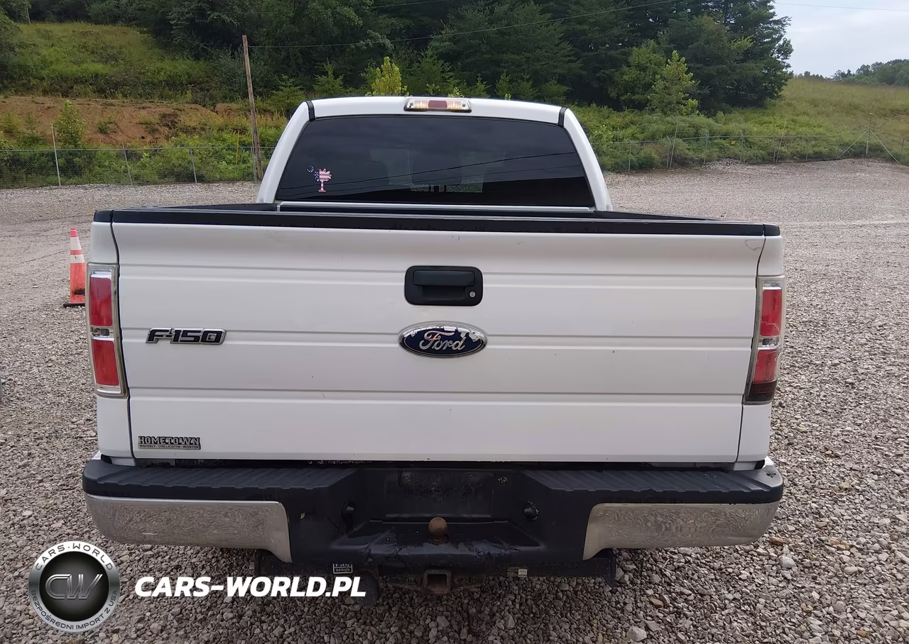 2011 Ford F-150 Xlt VIN:1FTFW1ET9BFB93024 - 16