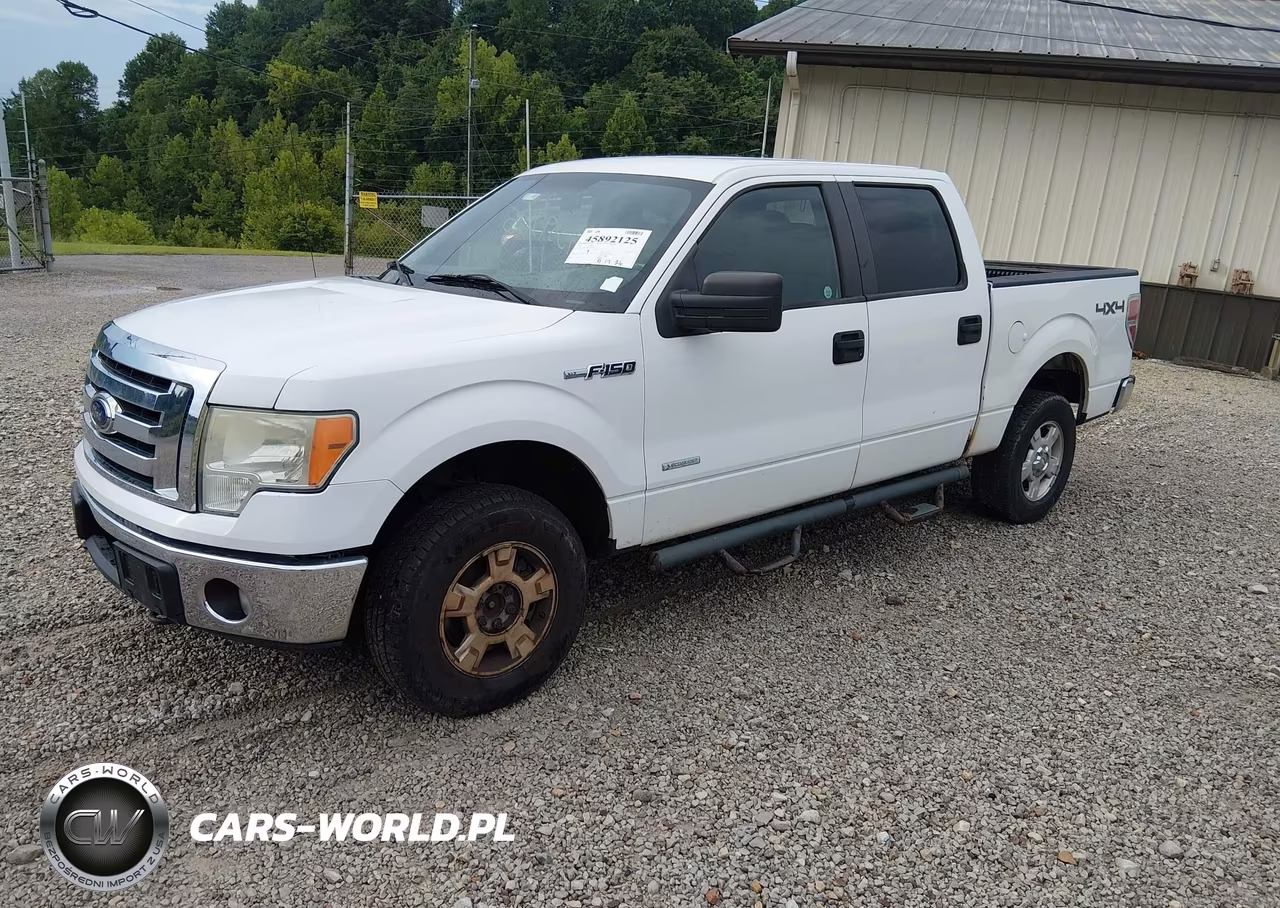 2011 Ford F-150 Xlt VIN:1FTFW1ET9BFB93024 - 2
