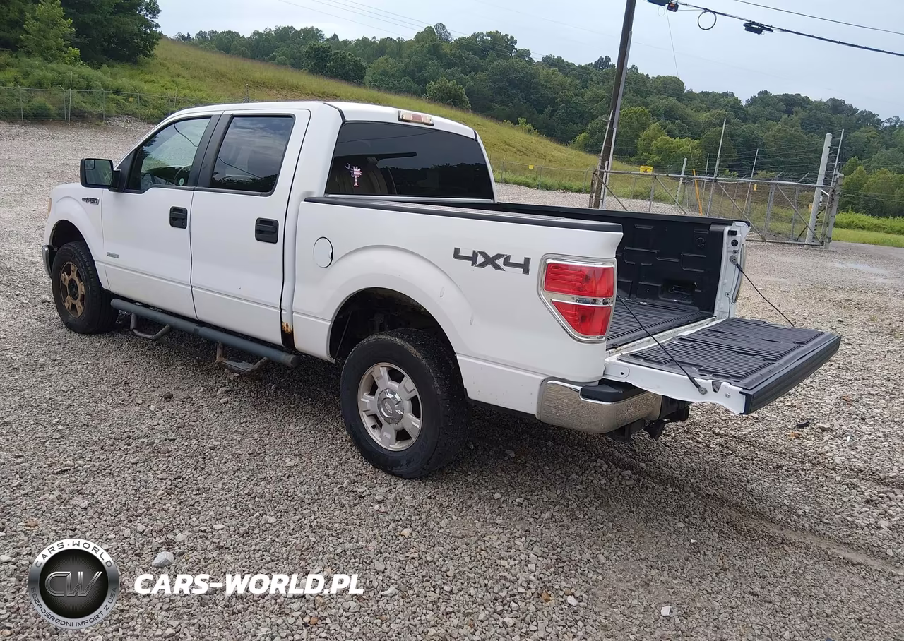 2011 Ford F-150 Xlt VIN:1FTFW1ET9BFB93024 - 3