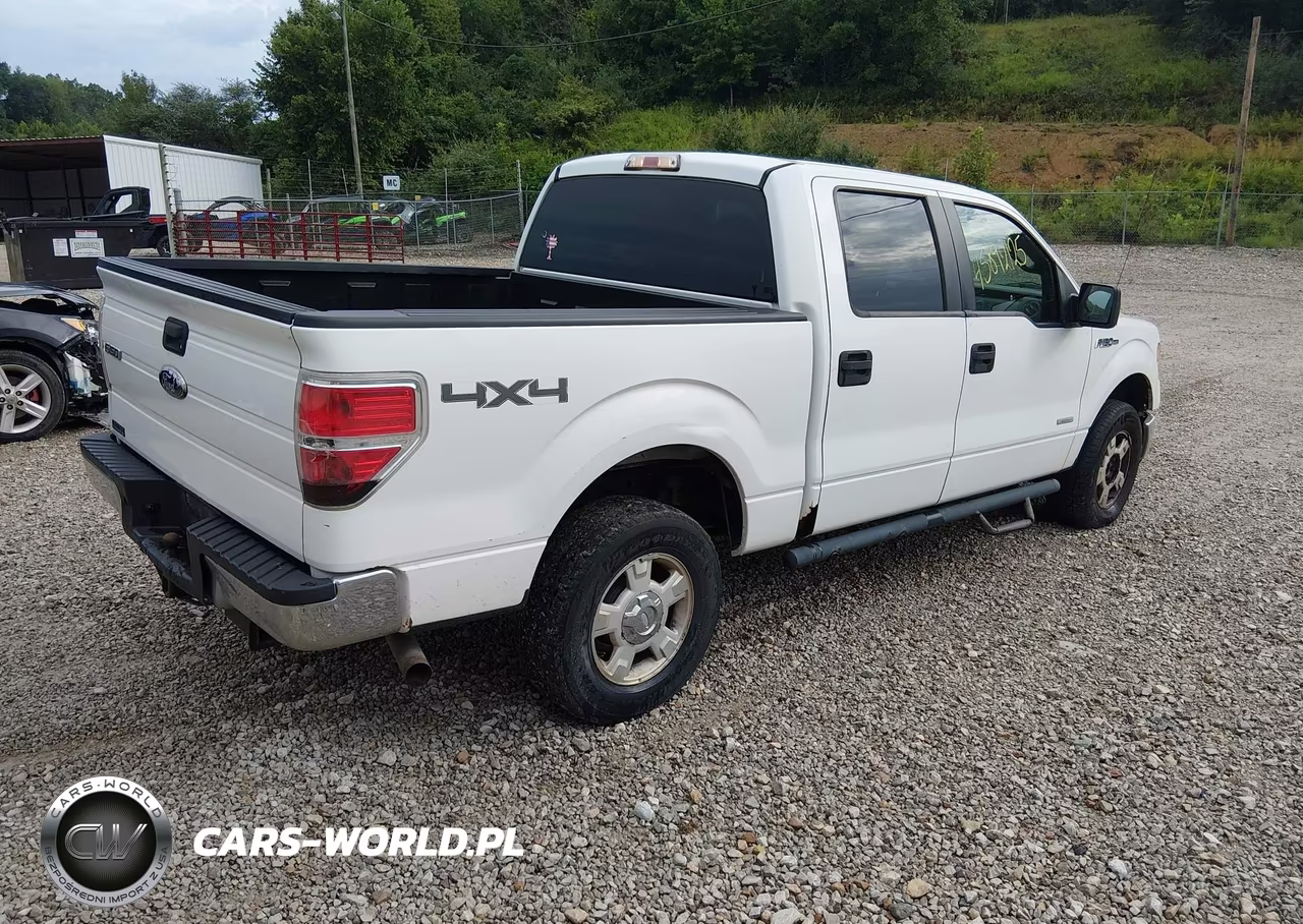 2011 Ford F-150 Xlt VIN:1FTFW1ET9BFB93024 - 4