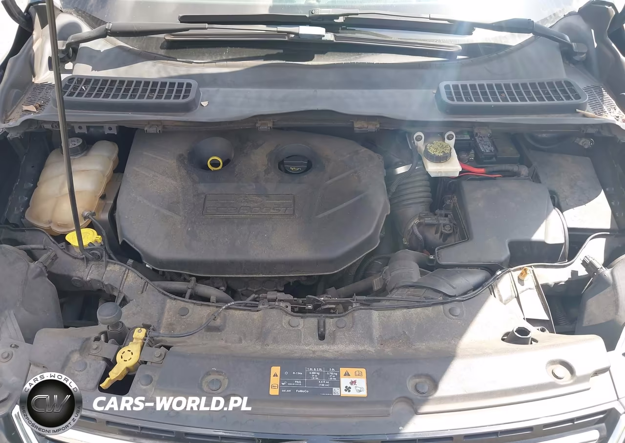 2013 Ford Escape Sel VIN:1FMCU9H90DUC26221 - 10