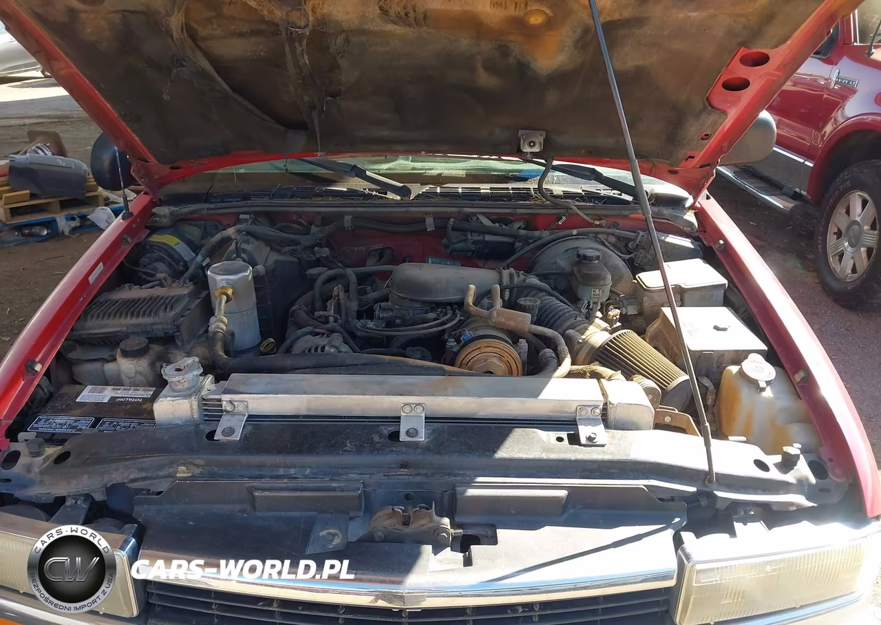 1998 Chevrolet S-10 Ls Fleetside VIN:1GCCS19W4W8191193 - 10