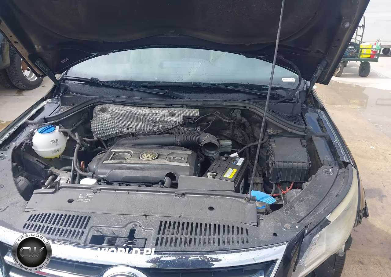 2010 Volkswagen Tiguan Se VIN:WVGBV7AX9AW511697 - 10