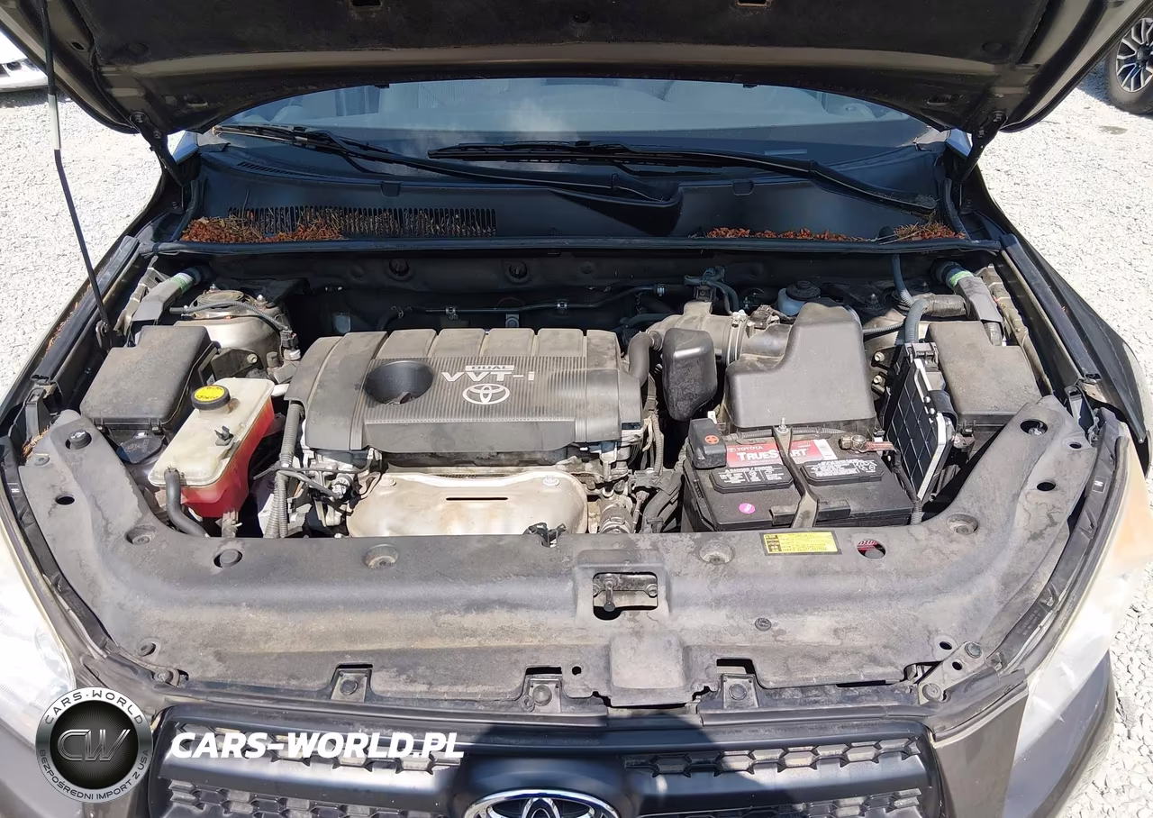 2010 Toyota Rav4 VIN:2T3BF4DVXAW074818 - 10