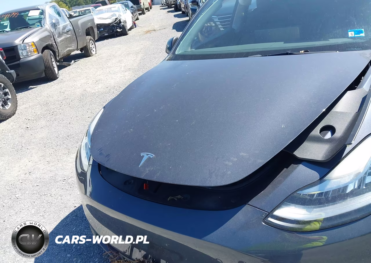 2023 Tesla Model Y Awd-Long Range Dual Motor All-Wheel Drive VIN:7SAYGDEE0PA054467 - 10
