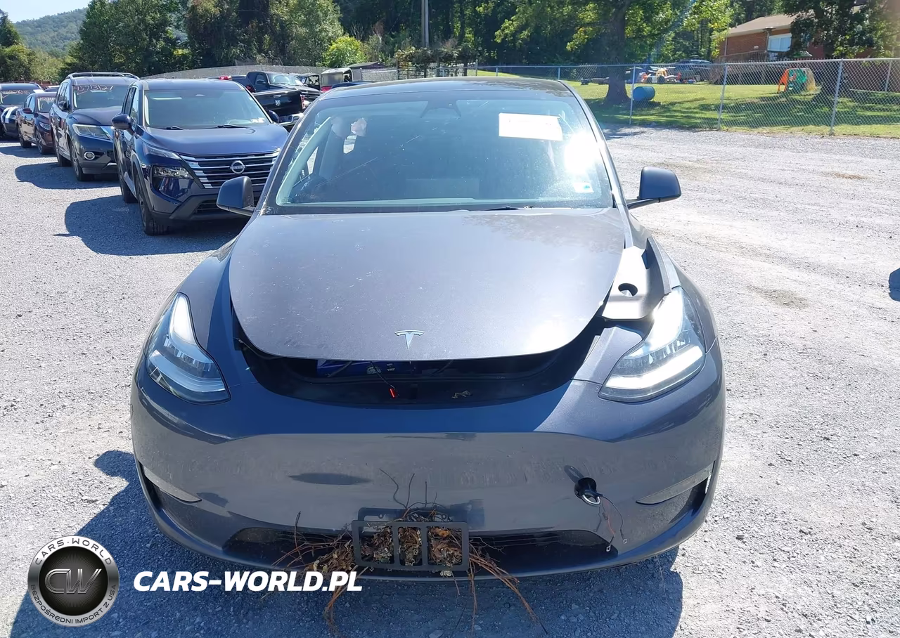 2023 Tesla Model Y Awd-Long Range Dual Motor All-Wheel Drive VIN:7SAYGDEE0PA054467 - 12
