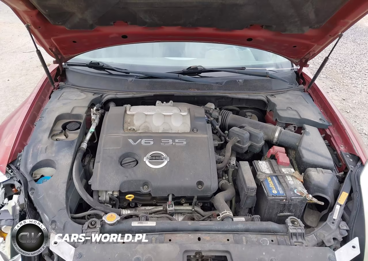 2005 Nissan Maxima 3.5 Sl VIN:1N4BA41E65C810641 - 10